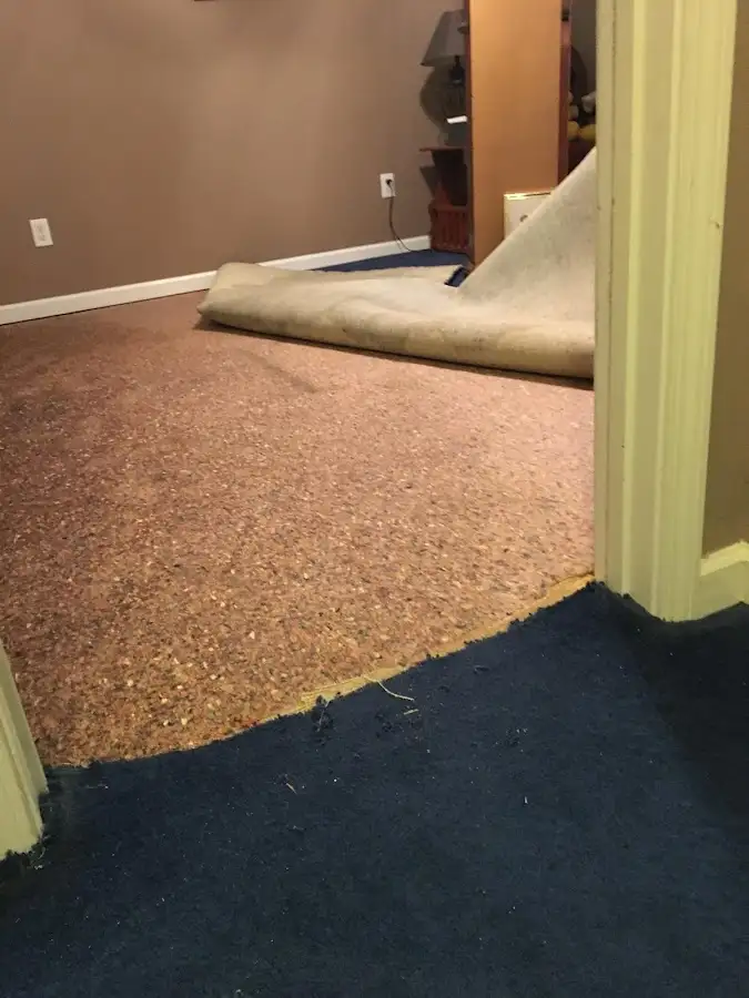 Carpet pad removal revealing water damage during Drying & Dehumidification in Dover
